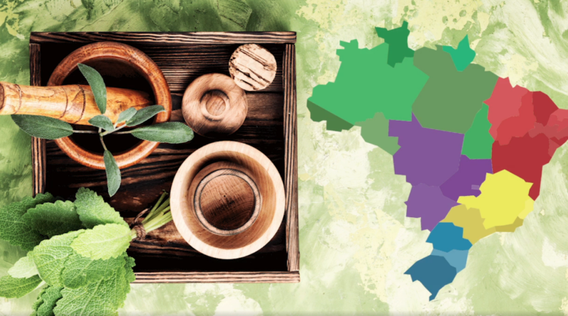 Congressos & Encontros: Práticas Integrativas e Complementares em Saúde